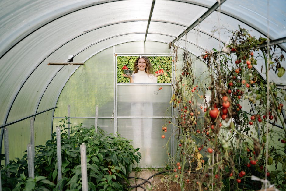 Organic Greenhouse