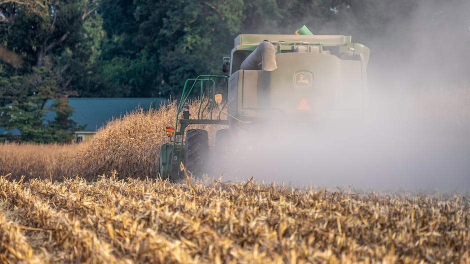 Farm Harvest Season
