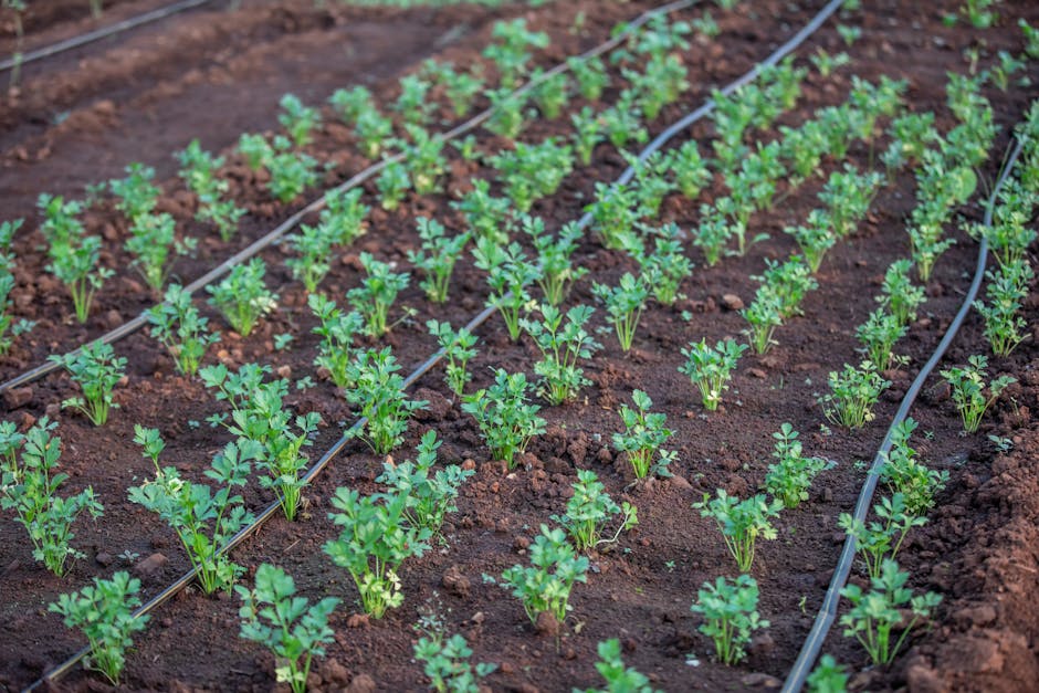Farm Irrigation System