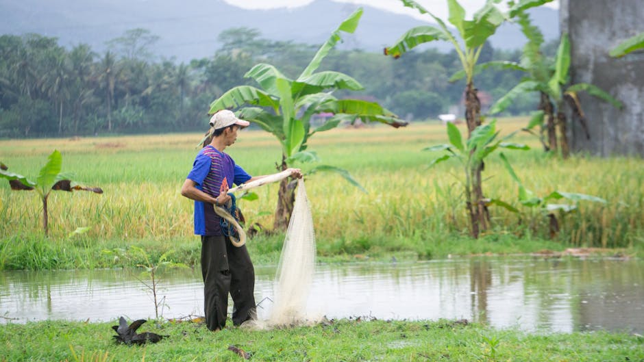 Sustainable Agriculture