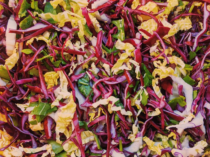 Organic Cabbage Fermented Sauerkraut 2