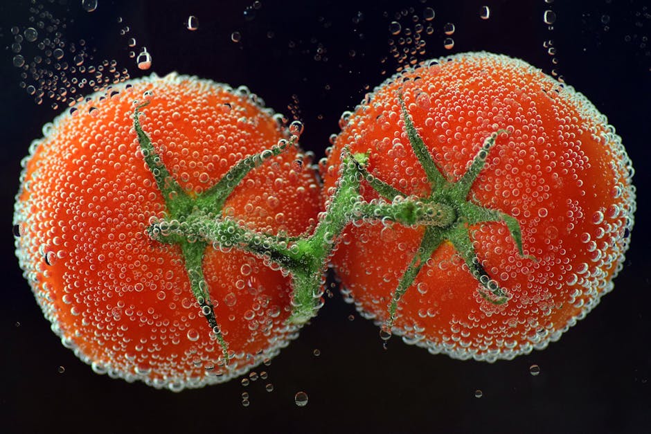 Organic Tomato Puree Concentrate