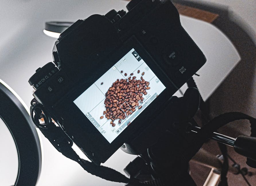 Organic Coffee Beans 2